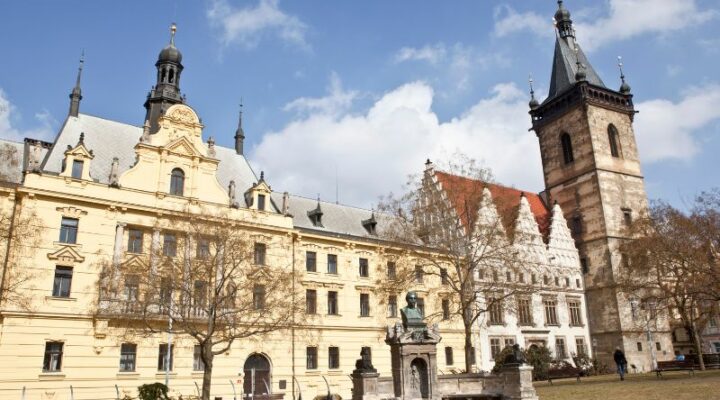 A perspective of Charles Square in Prague with the Statue of King Charles. One of the oldest buildings in Prague